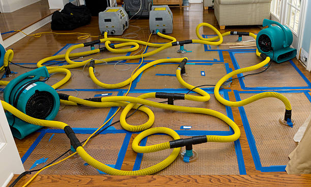 Professional Storm Water Damage Restoration technician working in Glenolden, PA